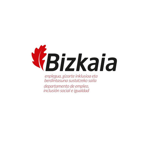lanzaderas-dipuvizcaya-bloqueweb